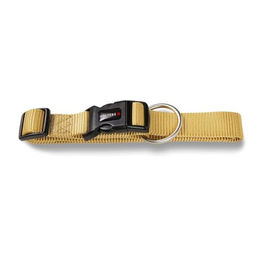 Wolters Professional Halsband Nylon Gelb XS für Welpen – Bild 1 von 2