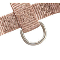 Produktbild von Wolters Professional Hundegeschirr Champagner Größe S 30-40 cm