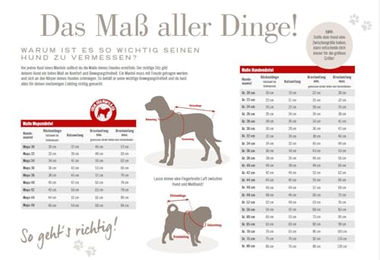 Wolters Regenjacke Easy Rain wasserdichte Hundejacke aus Polyester in Blau – Bild 1 von 2