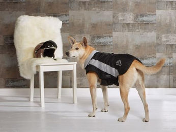 Wolters Skijacke Dogz Wear für Hunde Mini wasserdicht Schwarz Grau – Bild 1 von 5