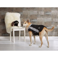 Produktbild von Wolters Skijacke Dogz Wear für Hunde Mini wasserdicht Schwarz Grau