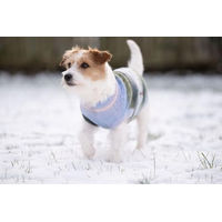 Produktbild von WOLTERS Strickpullover Marinello für Hunde aus Wolle mit 40 cm Rückenlänge