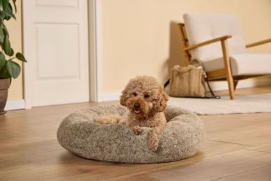 WOLTERS Sweet Dreams Hundebett aus Plüsch in Pistachio XL mit OEKO-TEX Standard – Bild 1 von 4
