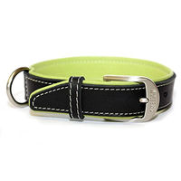 Produktbild von Wolters Terranova Hundehalsband aus Bio-Fettleder in Schwarz/Apfel