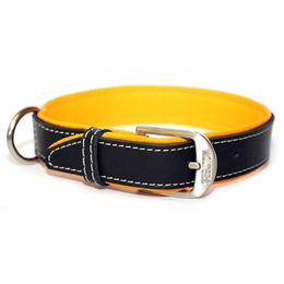 Produktbild von Wolters Terranova Hundehalsband aus Fettleder Schwarz Mango