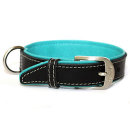 Produktbild von Wolters Terranova Hundehalsband aus Fettleder Schwarz/Türkis