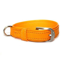 Wolters Terravita Hundehalsband flach – Bild 1 von 2