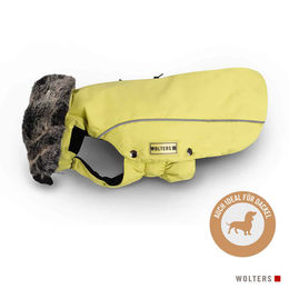 Produktbild von Wolters Winterjacke Amundsen für Dackel wasserdicht in Limone mit einer Rückenlänge von 46 cm