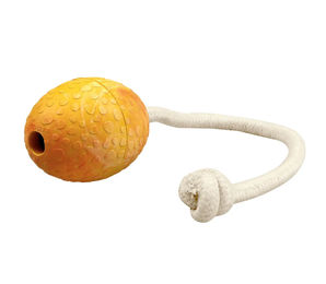 Produktbild von WOLTERS Wurfspielzeug Straußenei am Seil aus Naturkautschuk Mango Gelb Orange