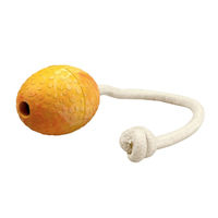 Produktbild von WOLTERS Wurfspielzeug Straußenei am Seil aus Naturkautschuk Mango Gelb Orange