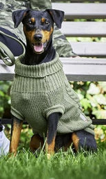 Wolters Zopf-Strickpullover für kleine bis mittlere Hunde in Grün – Bild 1 von 4