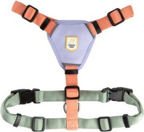 Woolly Wolf Hundegeschirr Explorer Color Block Salmon Pink Mix Grösse L – Bild 1 von 3