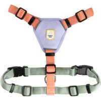 Produktbild von Woolly Wolf Hundegeschirr Explorer Color Block Salmon Pink Mix Grösse M