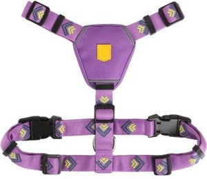 Woolly Wolf Hundegeschirr Northern Lights XS aus Polyester in Bunt und Lila – Bild 1 von 3