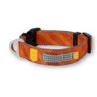 Produktbild von Woolly Wolf Hundehalsband Roam Terracotta Orange aus Polyester Größe S