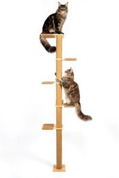 WOOWOOD Wandkratzbaum für Katzen aus Massivholz und Jute höhenverstellbar bis 206 cm – Bild 1 von 1