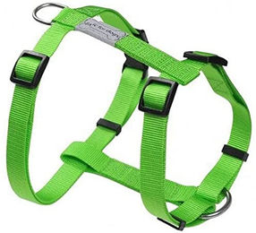 Produktbild von Wouapy Hundegeschirr Basic Line Grün 25mm 63-97cm