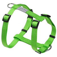 Produktbild von Wouapy Hundegeschirr Basic Line Grün 25mm 63-97cm