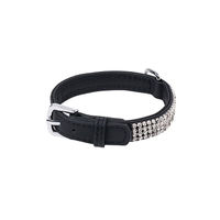 Produktbild von Wouapy Hundehalsband PetMini aus Kunstleder mit Strass in Schwarz 20 mm x 40 cm