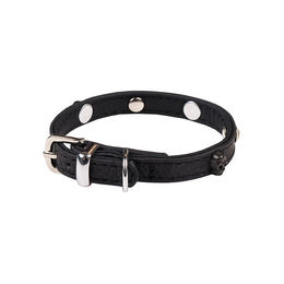 Produktbild von Wouapy Hundehalsband Rock Mini aus Kunstleder Schwarz 20 mm x 40 cm - 40 cm