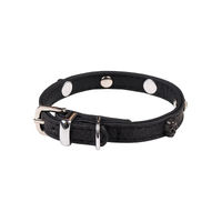 Produktbild von Wouapy Hundehalsband Rock Mini aus Kunstleder Schwarz 20 mm x 40 cm - 40 cm