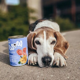 Produktbild von WOW Nassfutter Hund Adult Lamm mit hohem Fleischanteil ohne Konservierungsstoffe 6x400 g - 6 x 400 g