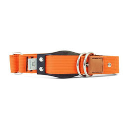 Produktbild von WowWow Hundehalsband mit integrierter Führleine Orange Kunststoff 33-37 cm Halsumfang