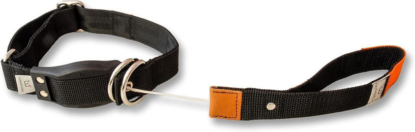 WowWow Professional Hundehalsband mit integrierter Leine aus Nylon Schwarz Gr. L 46-66cm – Bild 1 von 5