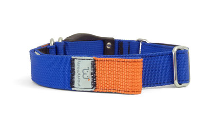 WowWow Professional Hundehalsband mit Rollleine aus Nylon für kleine und mittelgroße Hunde Größe L Blau – Bild 1 von 6