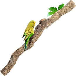 Produktbild von XXL Kork-Ast 100 cm Naturkork-Rinde Terrariumausstattung