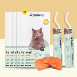 Produktbild von XXL Sparbox Schleckies Lachs 30x15g