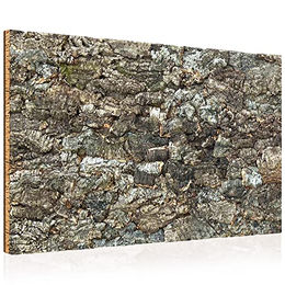 XL 3D Korkrückwand aus Naturkork für Terrarien 90 x 60 cm Braun – Bild 1 von 13