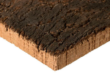 XL Naturkork Rückwand aus Korkrinde für Terrarium und Paludarium 60x30 cm - 1 Stk. – Bild 1 von 13