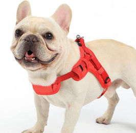 Produktbild von YI Hunde-Sicherheitsgeschirr Hundegeschirr Einstellbar Anti Zug Geschirr Klein Weich Brustgeschirr