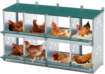 Yoimoimo Hühnerstall Hühnernester 6/8-fach: 86° Eierroll-Design robust & leicht zu reinigen – Bild 1 von 5