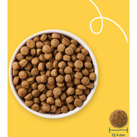 Produktbild von Yarrah Bio Adult Trockenfutter Sensitive Huhn und Reis für Hunde 10 kg - 2 x 10 kg