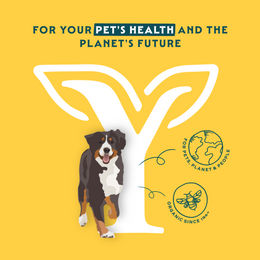 Produktbild von Yarrah Bio Kausnack für Hunde Rind 5 x 33 g