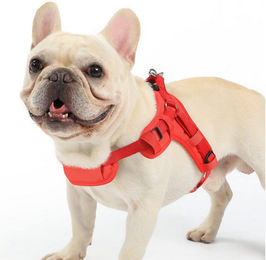 YI Sicherheitsgeschirr für kleine Hunde aus Nylon mit Anti-Zug-Funktion und verstellbarer Passform – Bild 1 von 5