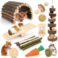 Produktbild von YIXUND Intelligenz- und Knabberspielzeug Set aus Holz für Hamster, Meerschweinchen, Rennmäuse, Chinchilla und Kaninchen