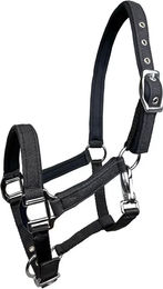 York Aston Pferdehalfter für Fohlen aus Neopren in Schwarz – Bild 1 von 1