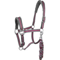 Produktbild von York Calipso Halfter und Longiergurt Set für Ponys aus Nylon in Rosa Bunt