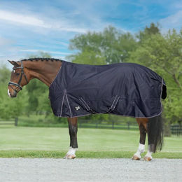 Produktbild von York Gold Star Outdoor-Pferdedecke aus Polyester in Blau oder Schwarz