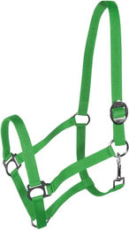 York Harmony Pferd Halfter aus Nylon in Grün Full – Bild 1 von 1