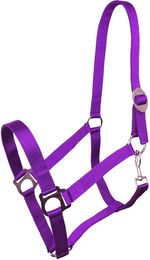 York Harmony Pferd Halfter Full aus Nylon in Lila – Bild 1 von 1