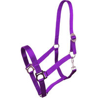 Produktbild von York Harmony Pferd Halfter Full aus Nylon in Lila
