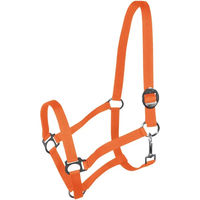 Produktbild von York Harmony Pferd Halfter Full in Orange mit Edelstahlbeschlägen