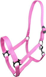 York Harmony Pferd Halfter Full in Rosa mit Edelstahlbeschlägen – Bild 1 von 1
