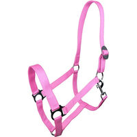 Produktbild von York Harmony Pferd Halfter Full in Rosa mit Edelstahlbeschlägen