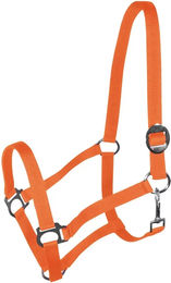 York Harmony Pferd Halfter in Orange mit Edelstahlbeschlägen für Vollblut – Bild 1 von 1