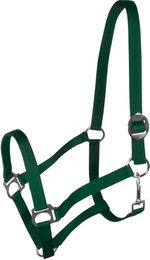 York Harmony Pony Halfter aus Nylon in Grün – Bild 1 von 1